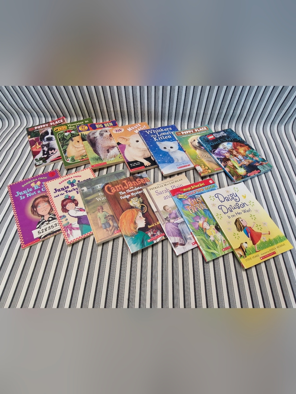 Kids Chapter Books Lot 14 Scholastic Junie B Jones Animal Ark Puppy Patrol